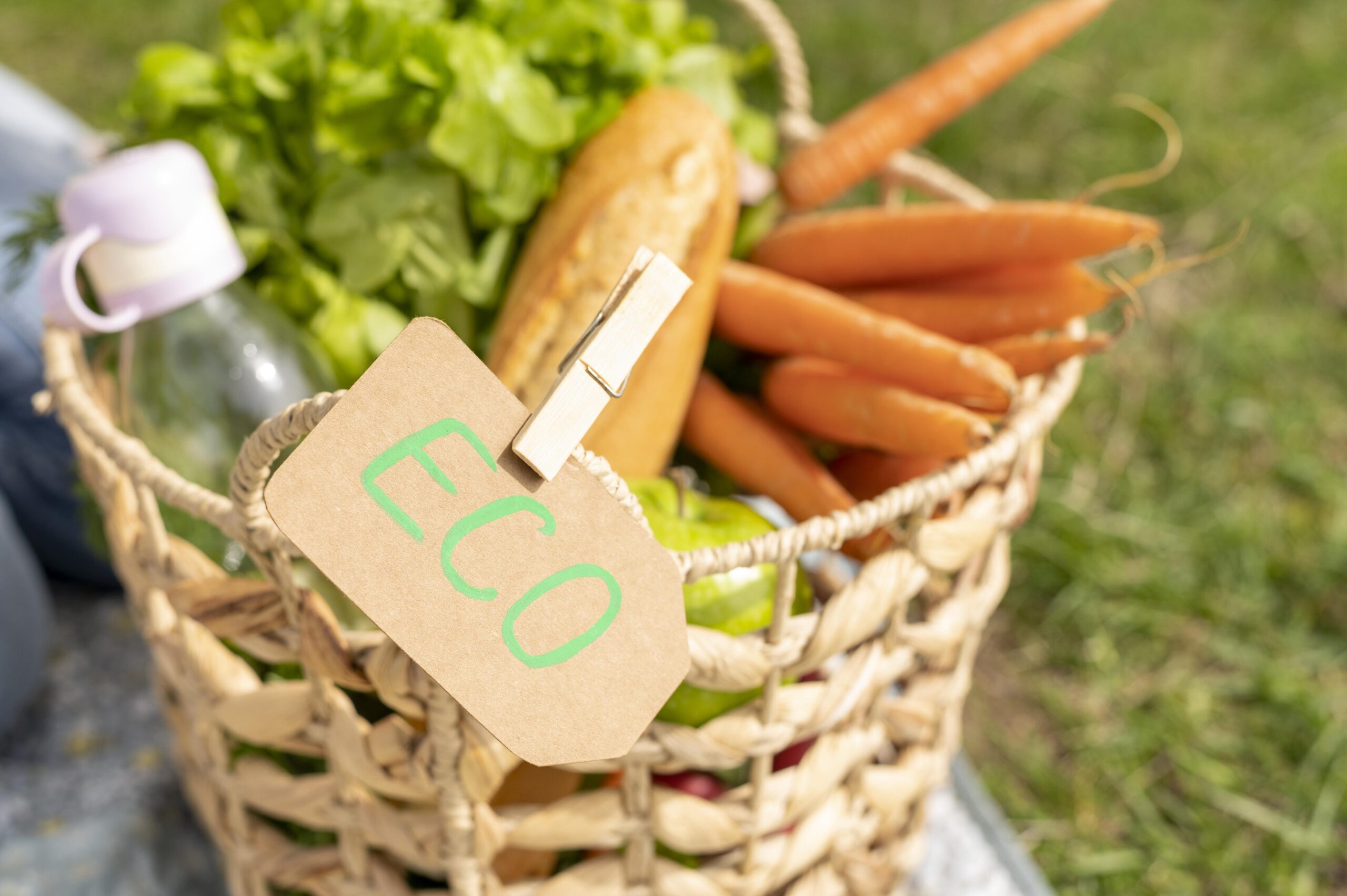 Alimentos ecológicos: una opción sostenible para la salud